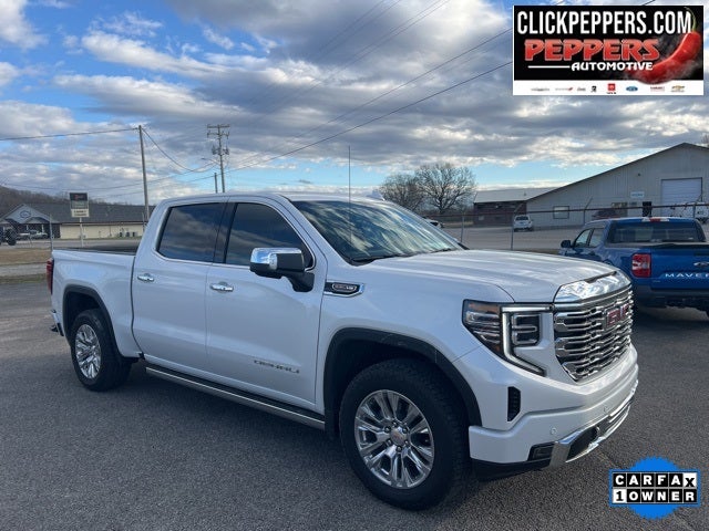 2025 GMC Sierra 1500 Denali